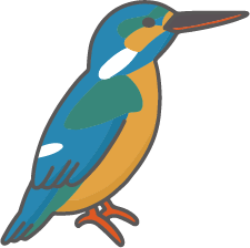 カワセミ